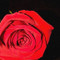 Léa