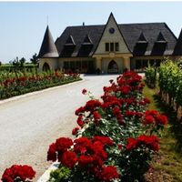 Des futures mariées d’alsace ? - 1