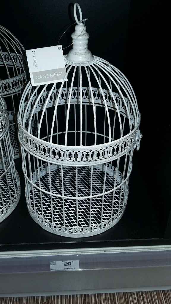 Cage oiseaux - 1