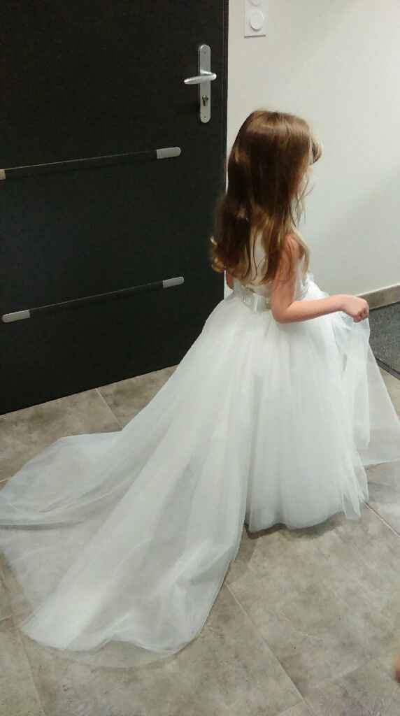 La robe de ma princesse - 1