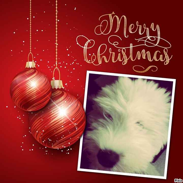 joyeux noël