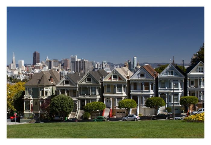 painted ladies