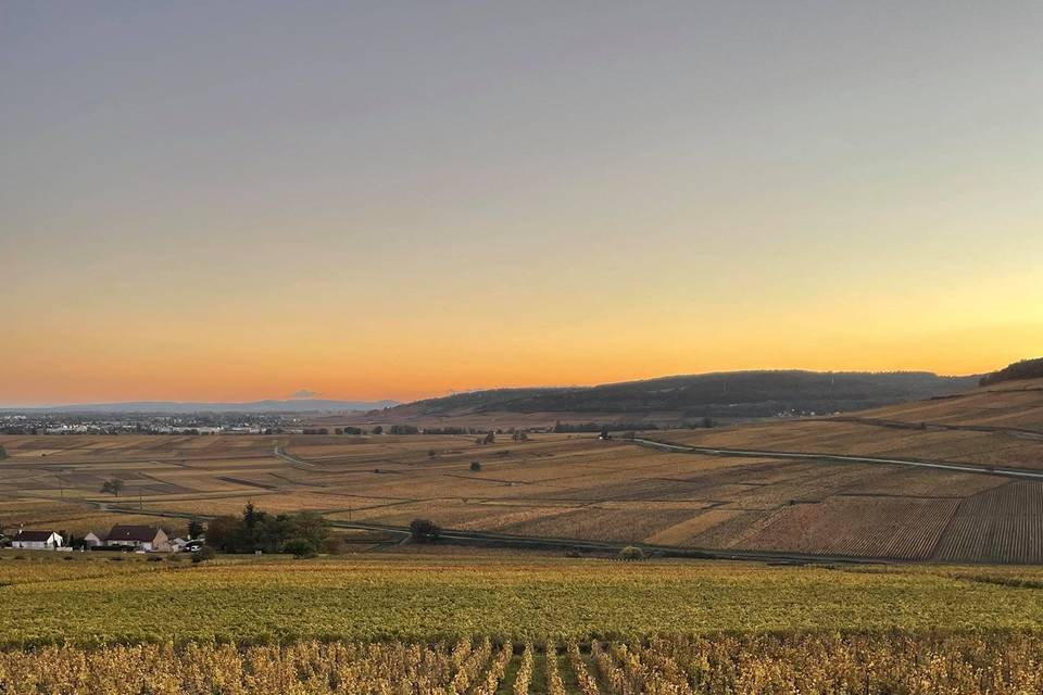 Entre Deux Verres Dégustations & Accords Vie Vin