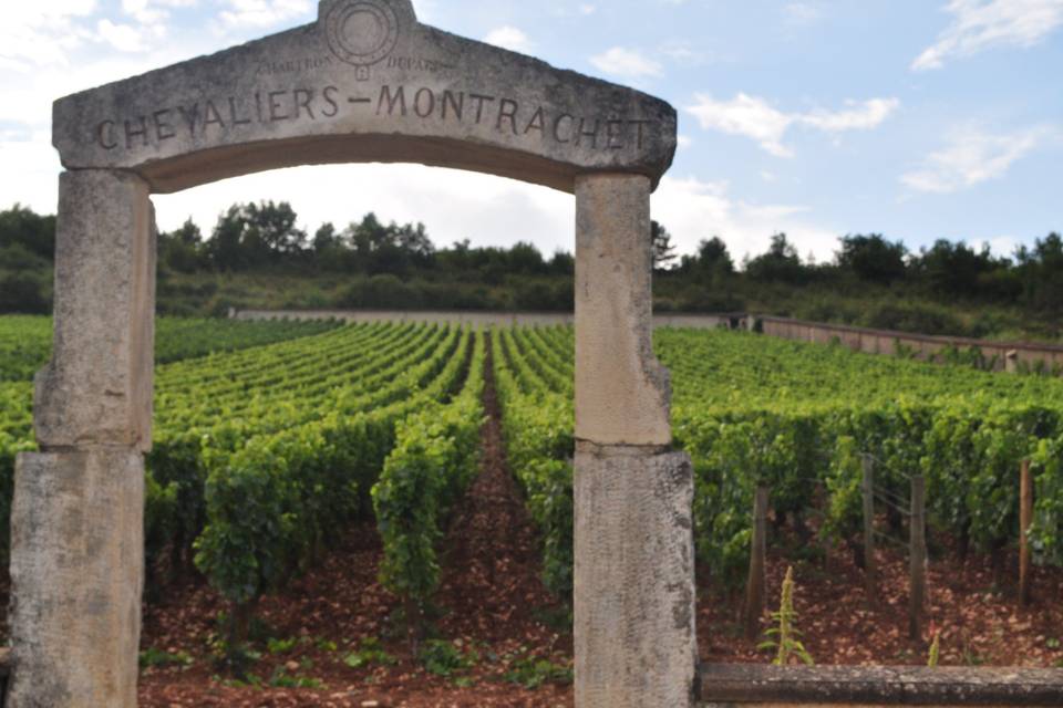 Entre Deux Verres Dégustations & Accords Vie Vin