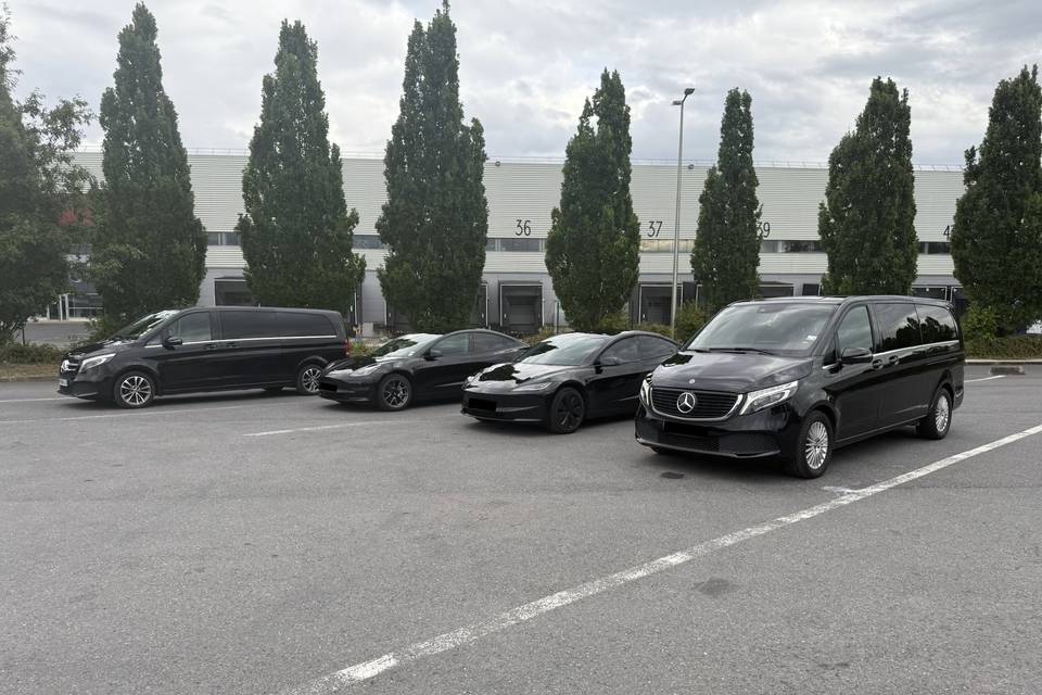 2 tesla + 2 van 7pax
