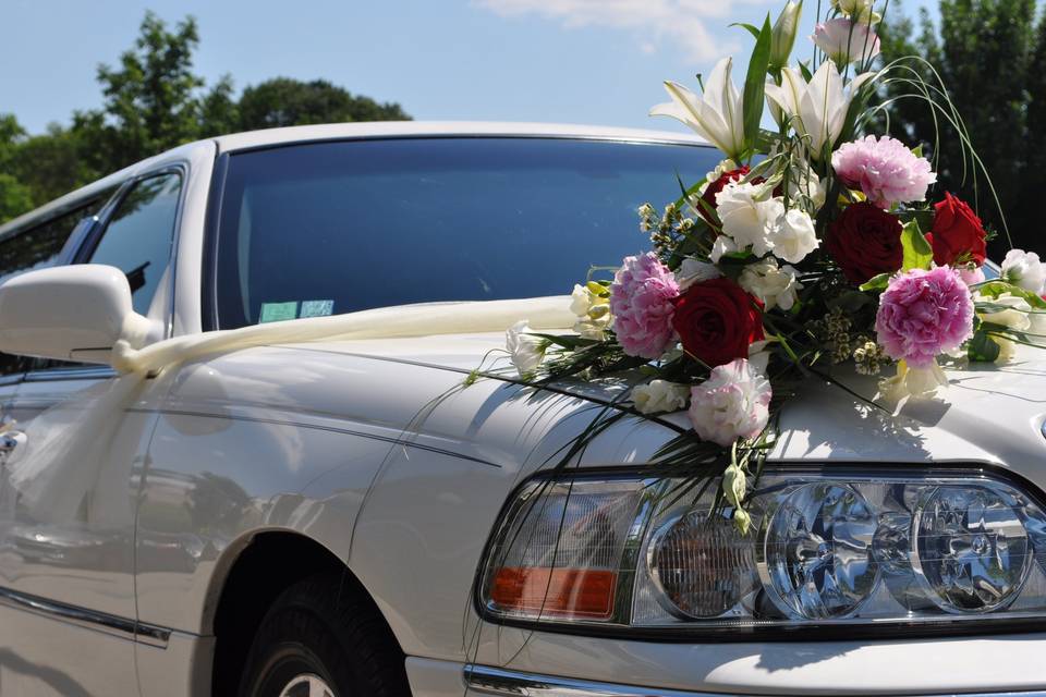 Provence Limousine