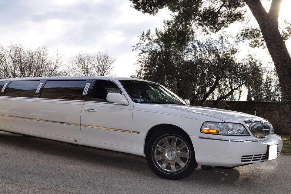 Provence Limousine