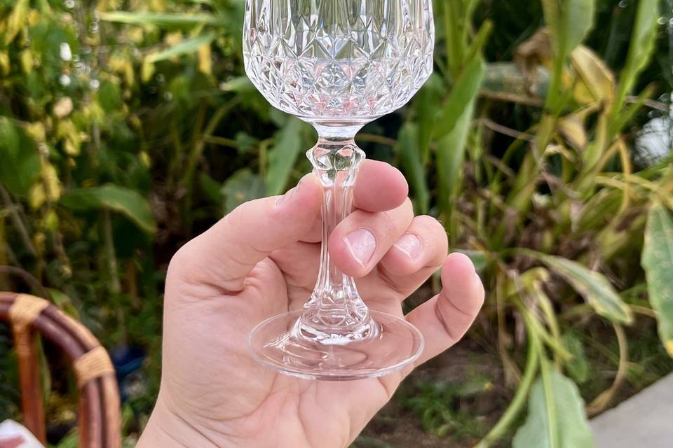 Verre à vin cristal d’arques