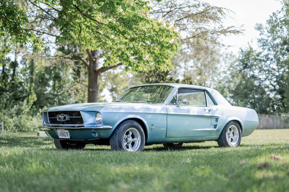 Voiture
