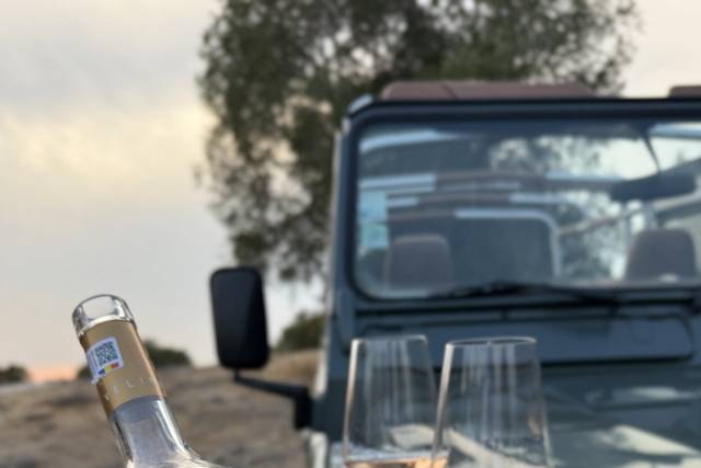 Wine Tasting