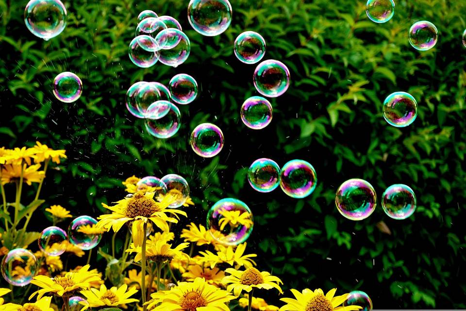 Bulles