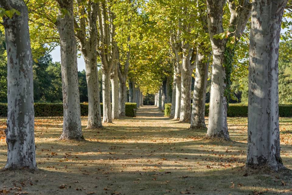 Domaine de Rochemontès