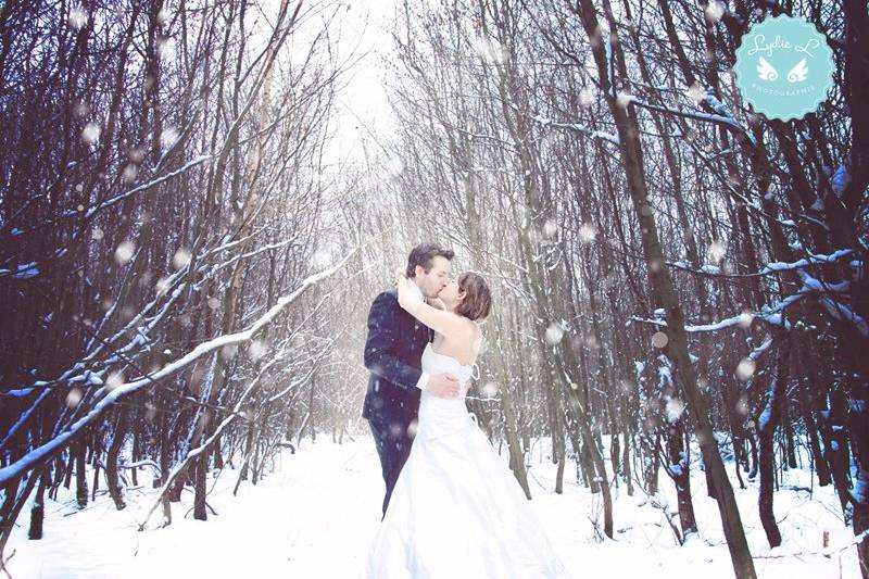 Trash the Dress