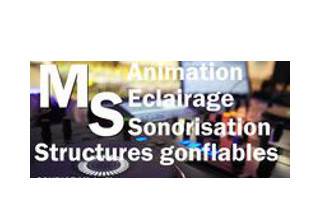 MS Animation logo