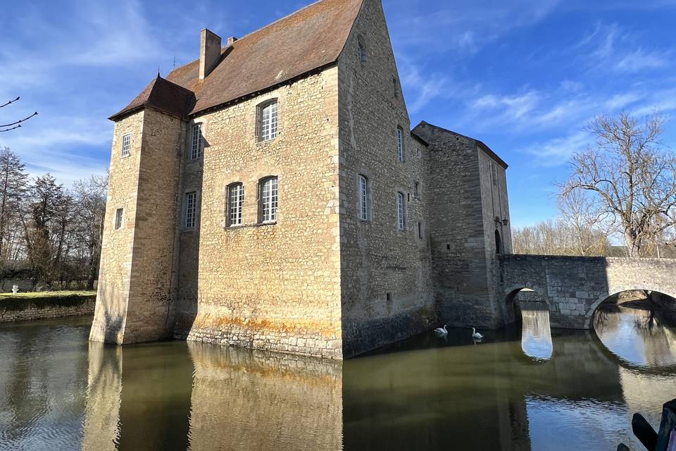 Château de la Mothe de Vicq