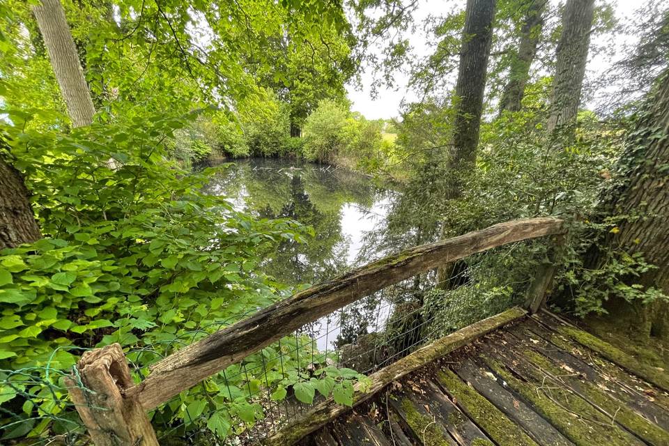 Pont en bois