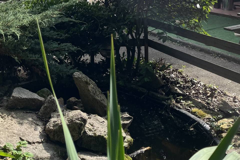 Nature