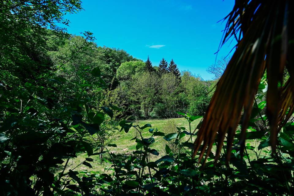 Parc