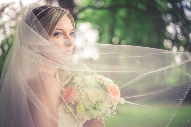 Voile de la mariée