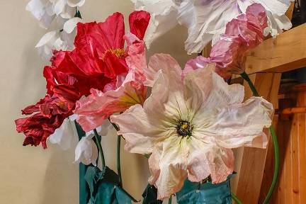Décoration chez un Viticulteur