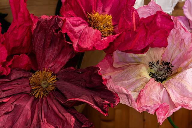 Les Flores d'Isariel