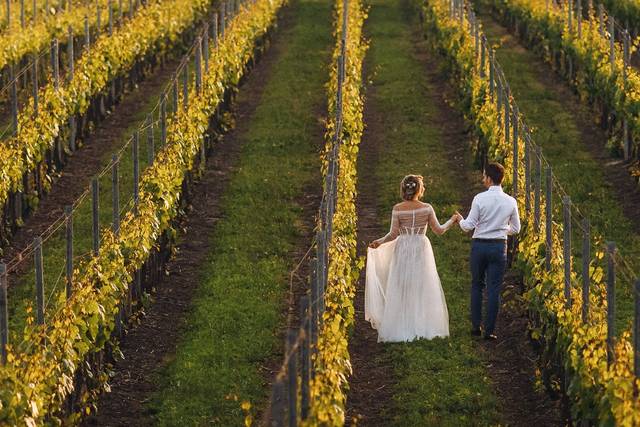 Vignes