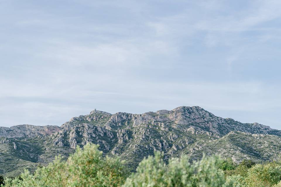 Mariage dans les Alpilles