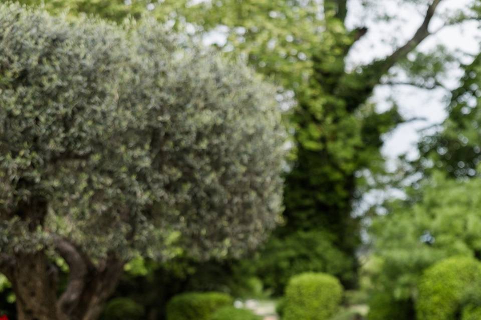 Fleurs de la cérémonie