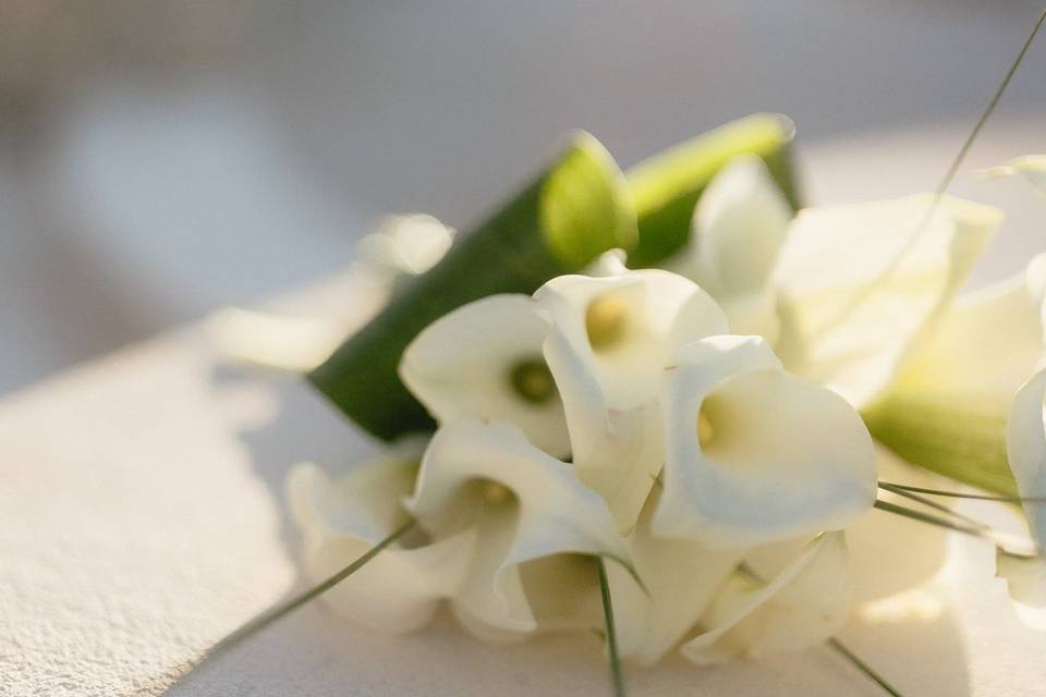 White Vows