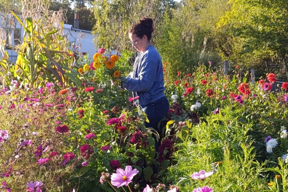La Cueillette Ferme Florale