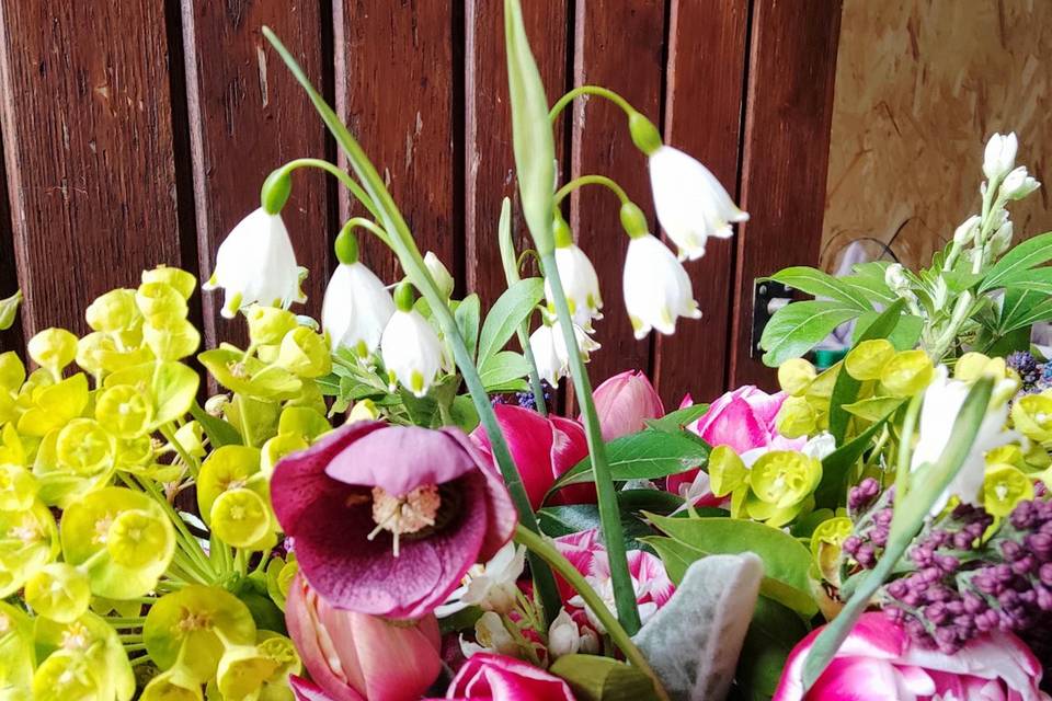 Fleurs de printemps