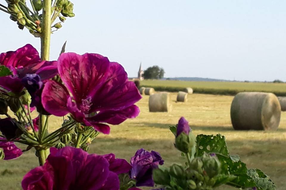 Paysage romantique ...