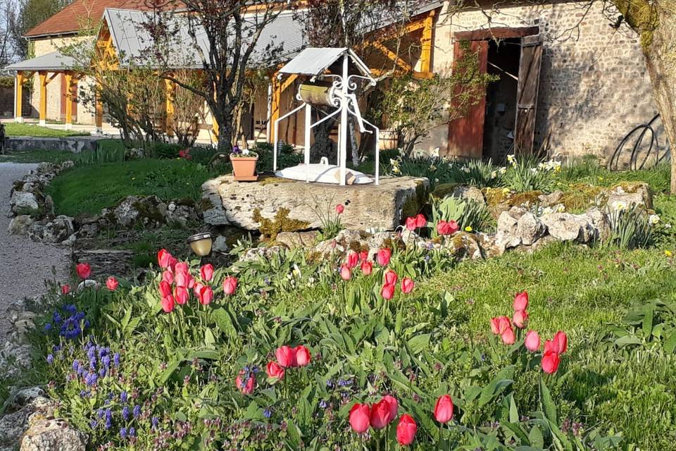 Les tulipes au printemps