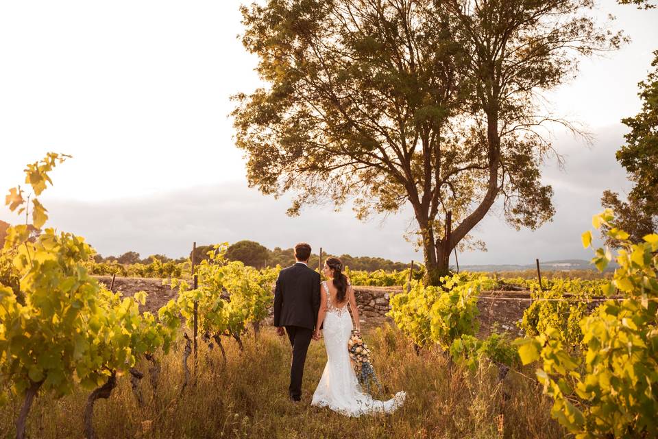 Dans les Vignes