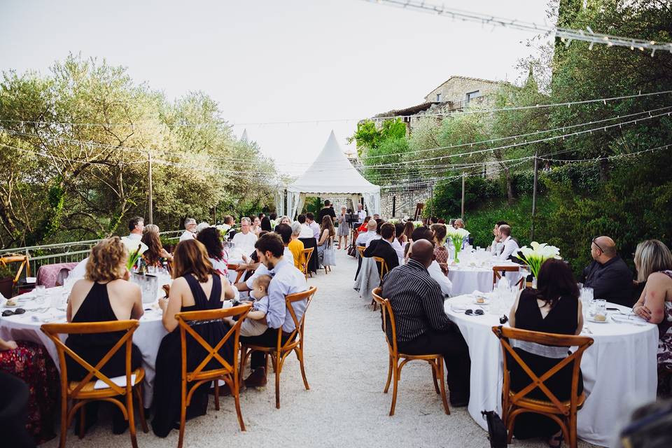 Dîner au coeur des oliviers