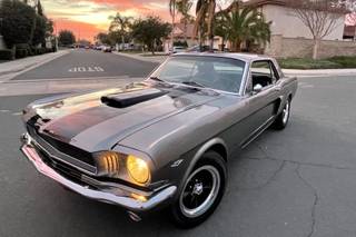 Mustang 66