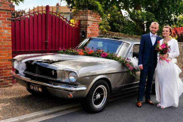 Mustang 66
