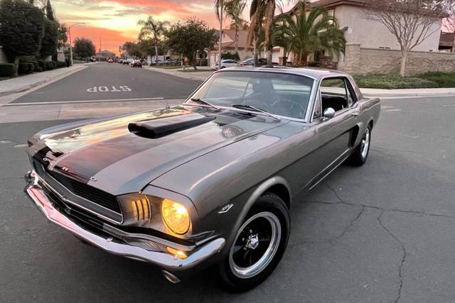 Mustang 66