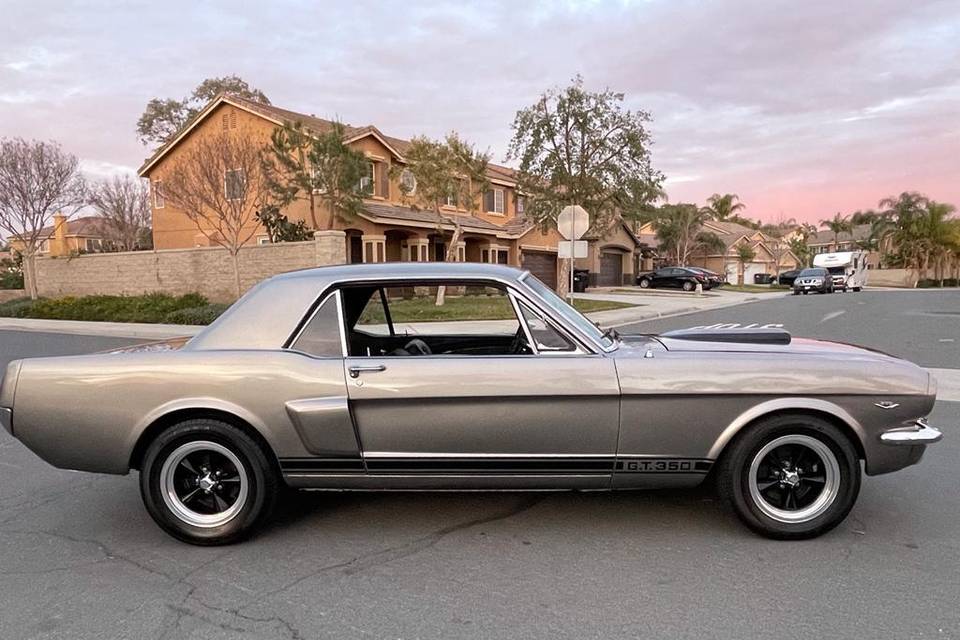 Mustang 1966 - importée de cal