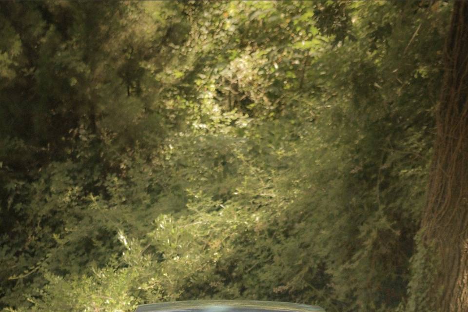 Voiture