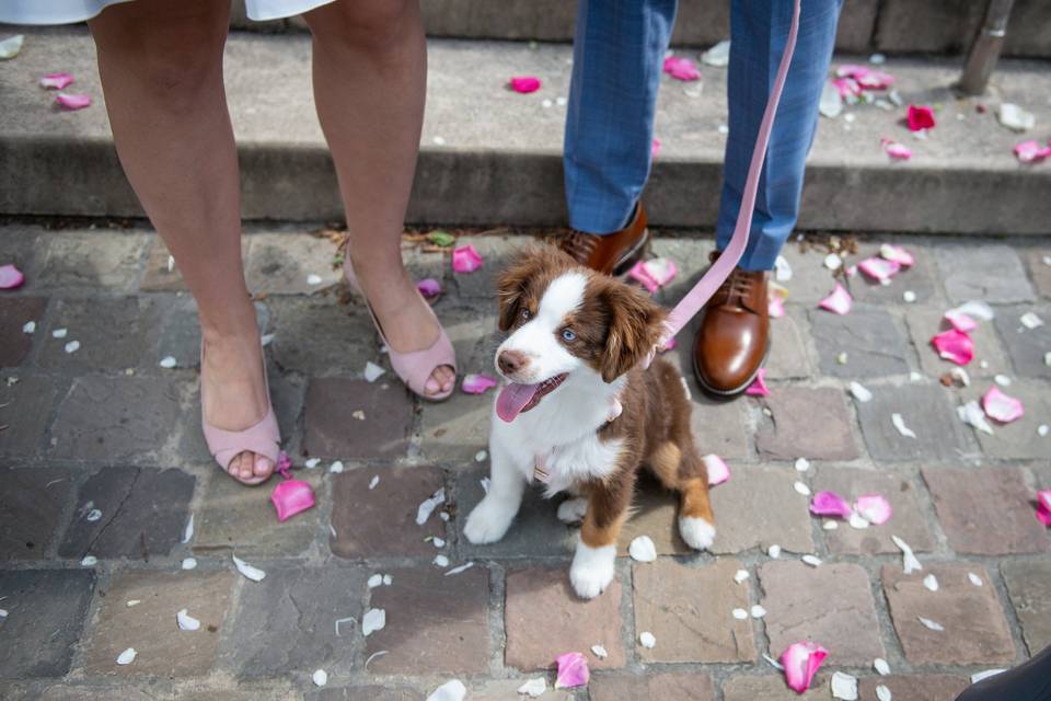 Reportage Cérémonie