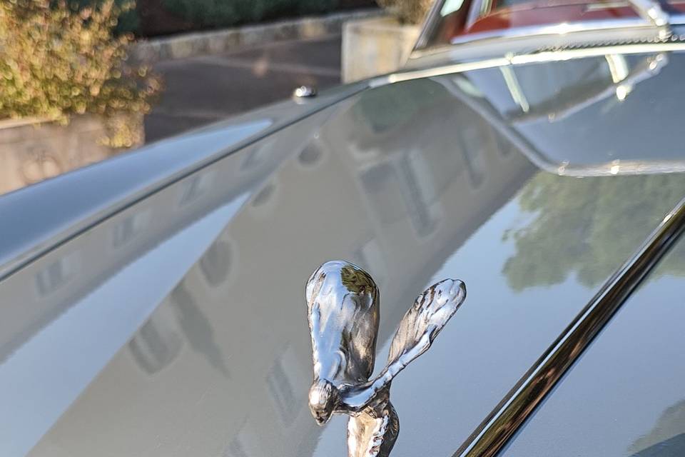 Rolls Royce Sylver Shadow 1978