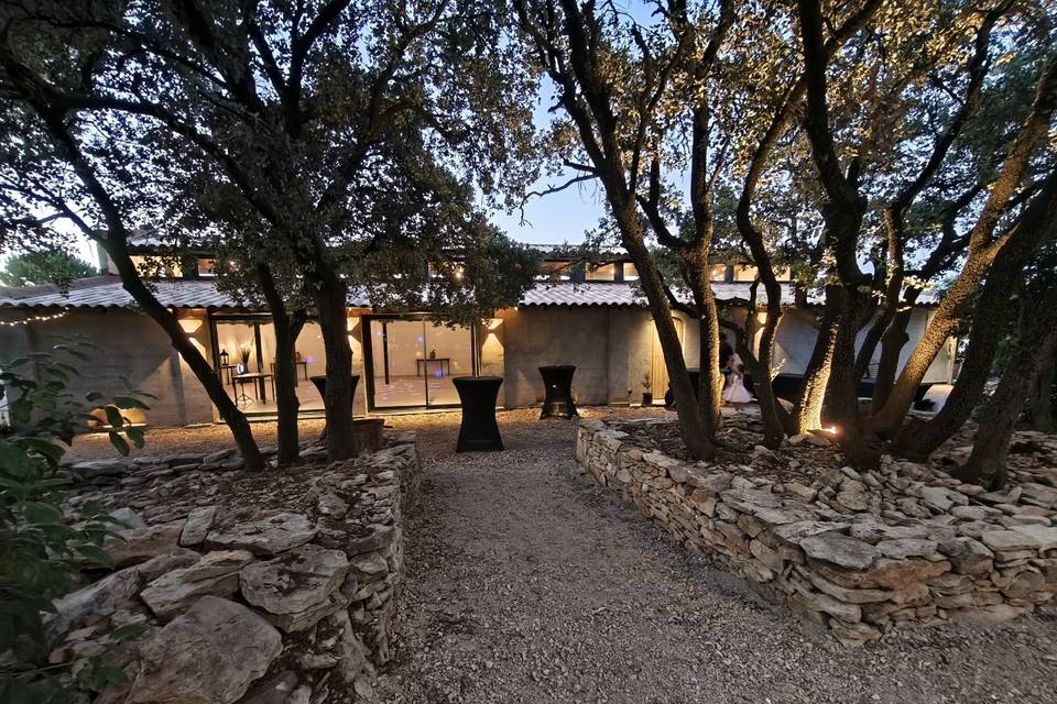Terrasse - pinède