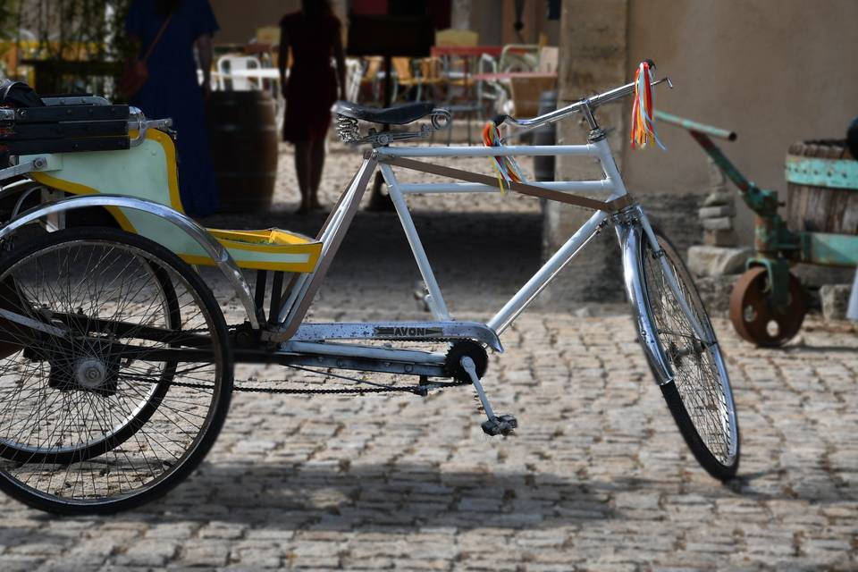 Rickshaw carrosse des mariés