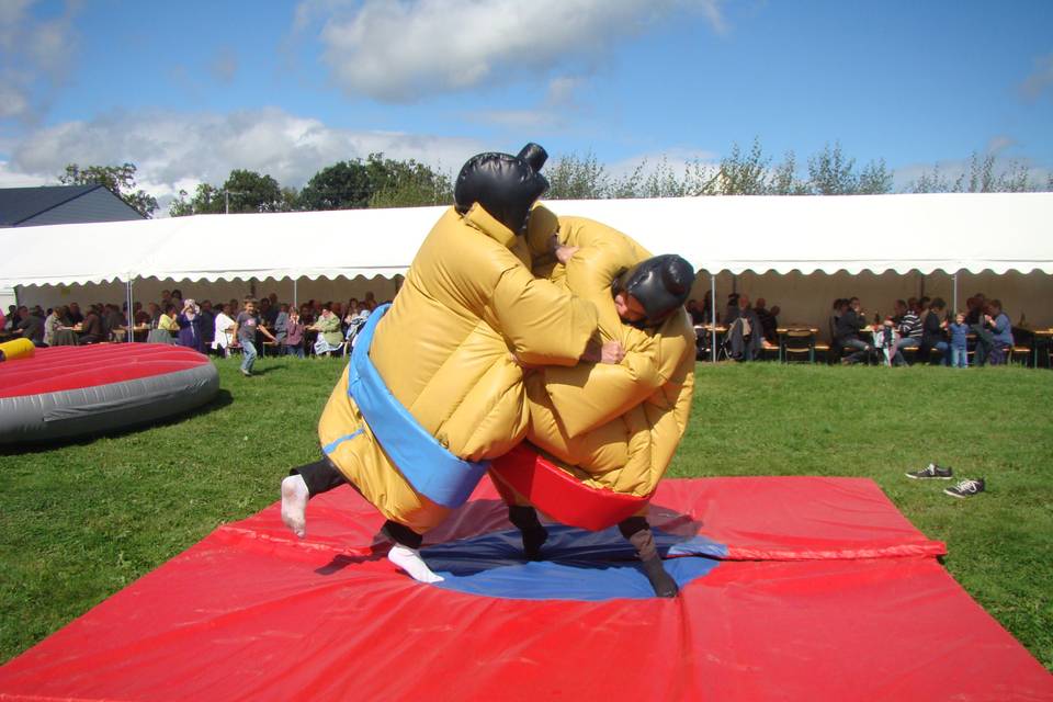 Sumo adultes et enfants