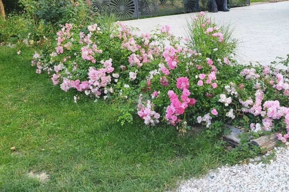 Fleur