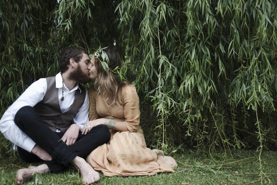 Kisses in the willow tree