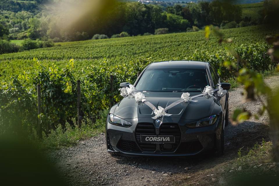 Corsiva M3
