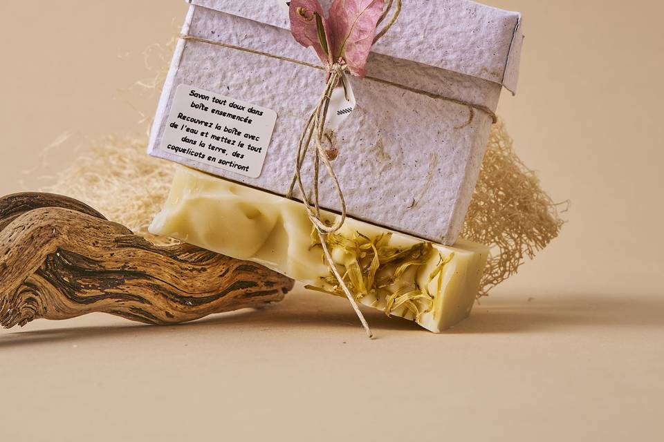Boîte en papier ensemencé