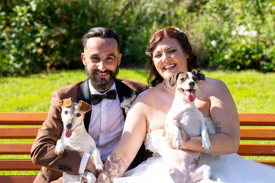 Avec les chiens